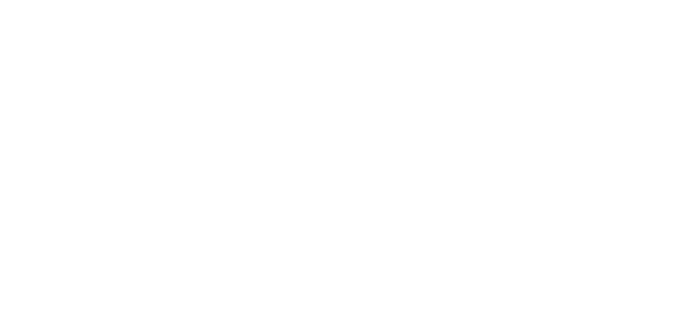 Establecimiento El Zorzal